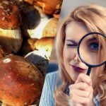 فقط افرادی با بهره هوشی فوق العاده قدرتمند در 15