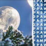 فقط 2 درصد از خوانندگان می توانند کلمه “یخ زدگی”