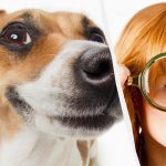 فقط یک تایتان IQ واقعی در 10 ثانیه سگی را