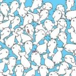 پازل برای افراد با بینایی تیزبین: گل ختمی را در