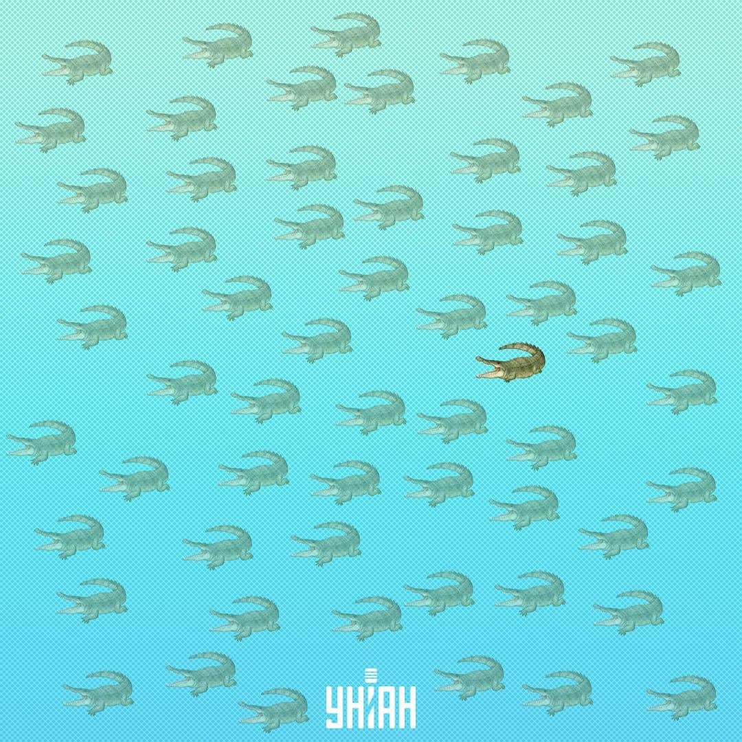 لازم بود آن را نزدیکتر به مرکز، در سمت راست / کلاژ Moje جستجو کنید