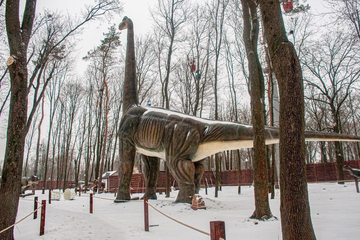 در 10 ثانیه سگی را در میان برف ها پیدا کنید / کولاژ Moje