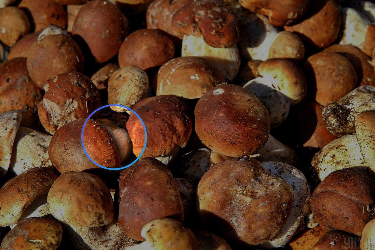 سنگ تقریباً در مرکز توهم نوری / کولاژ Moje قرار داشت