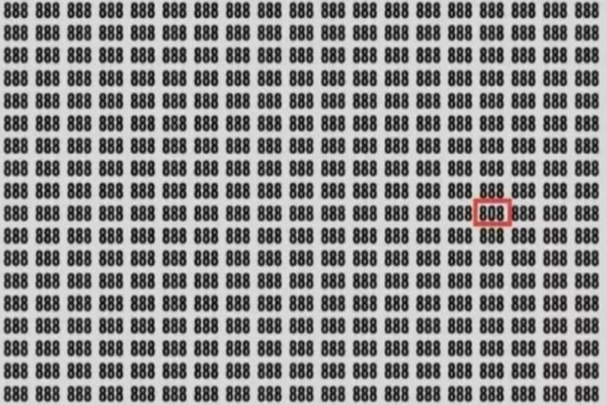 پاسخ معما / عکس جگران جاش