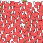 پازل برای افراد با چشم عقابی: گیلاس بدون کرم را