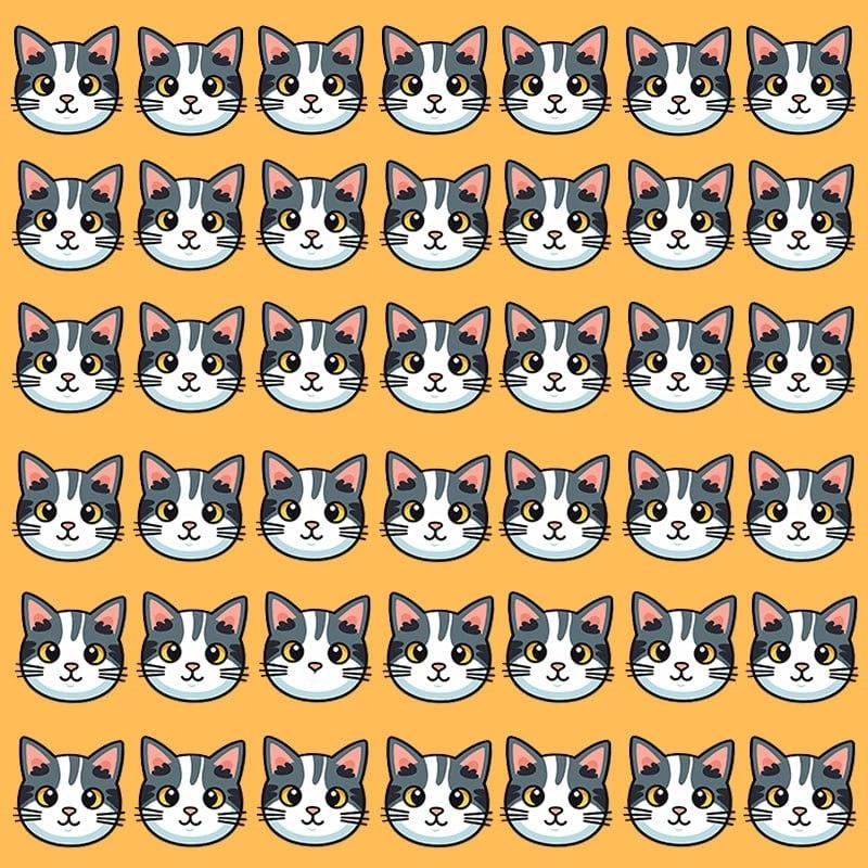 این توهم نوری فقط برای افرادی با IQ عالی / تصویر Moje امکان پذیر است