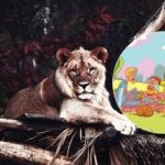 فقط چند نفر می توانند این کار را انجام دهند: